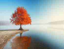 node.js最﻿新​版‌